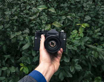 Cropped hand holding camera against plants