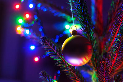 Close-up of illuminated christmas tree at night