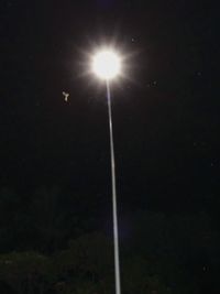 Low angle view of moon at night