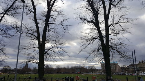 Bare trees against sky in city