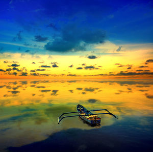 View of insect in sea during sunset