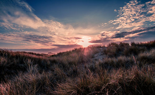 Scenic view of dramatic sky during sunset