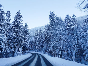 Snow covered road amidst trees against sky during winter