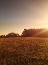 Scenic view of field against sky during sunset