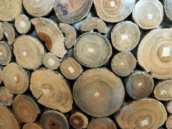 Full frame shot of logs in forest