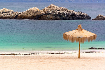 Thatched roof parasol at beach