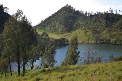 Scenic view of lake and trees against sky