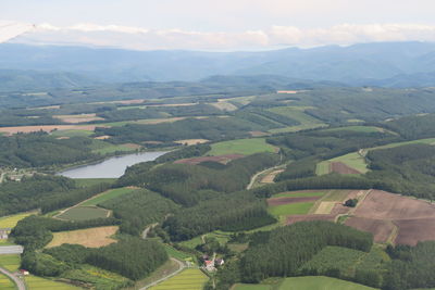 Aerial view of agricultural landscape