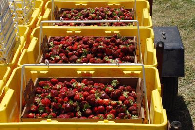 Full frame of fruits for sale at market stall