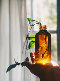 Midsection of person holding glass bottle