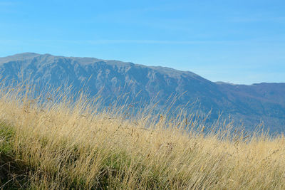 Scenic view of mountains against clear sky