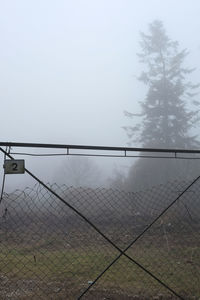 Fence by trees against sky during winter