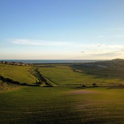 Scenic view of field against sky