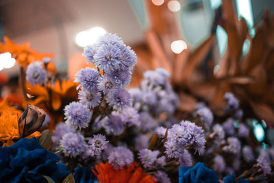 Close-up of purple flowering plants