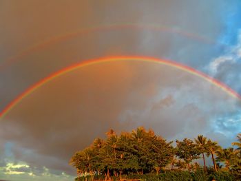 Low angle view of rainbow against sky