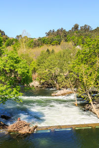 Scenic view of landscape against clear blue sky