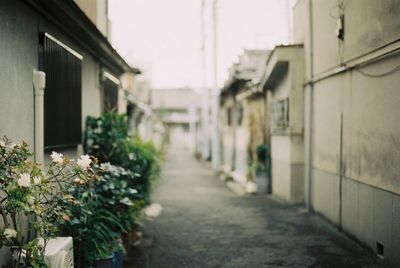 Narrow alley along buildings