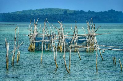 Scenic view of sea