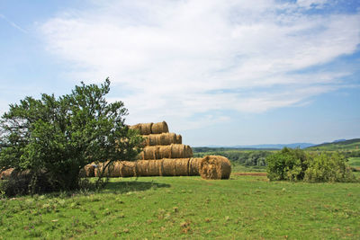Hay bales on agricultural field against sky