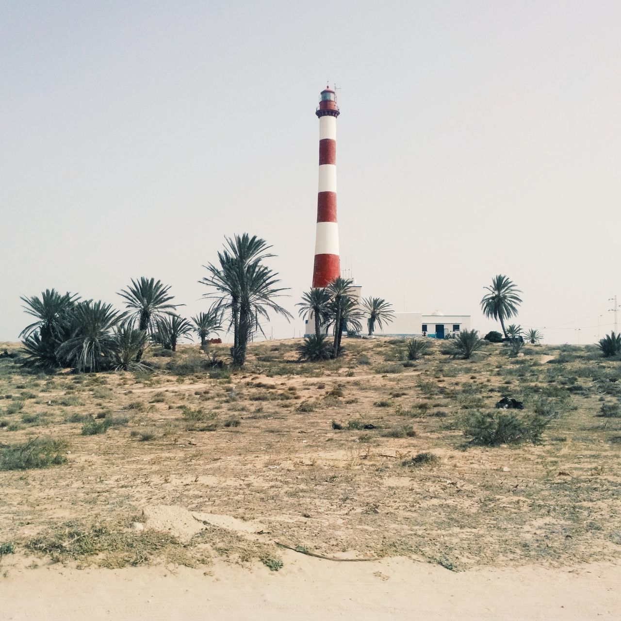 guidance, lighthouse, direction, clear sky, architecture, built structure, building exterior, copy space, tree, safety, protection, tower, sand, sky, tranquility, landscape, day, nature, beach, security