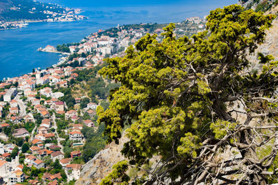 High angle view of trees and buildings against sea