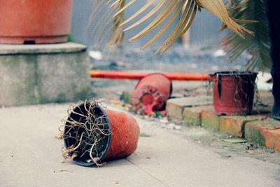 Close-up of red object