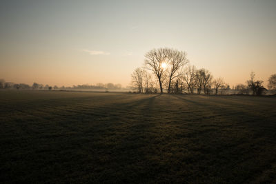 Silhouette bare trees on field against sky during sunset