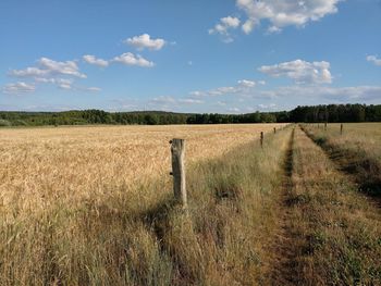 Scenic view of agricultural field against sky