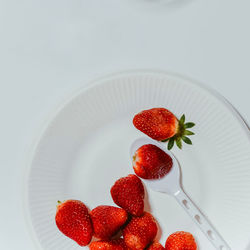 High angle view of strawberries on table against white background