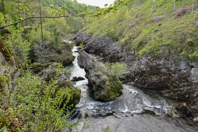 Stream flowing through rocks in forest