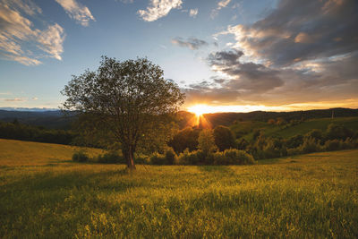 Scenic view of field against sky during sunset