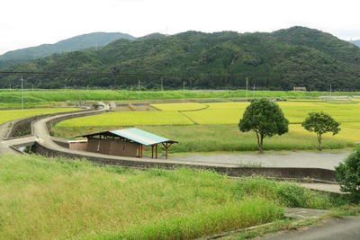 Scenic view of agricultural field against sky