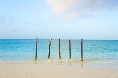 Wooden posts on beach against sky