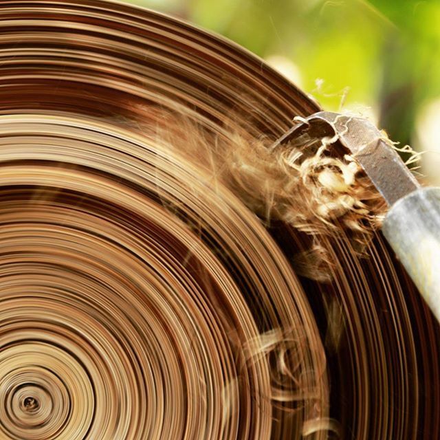 close-up, animal themes, focus on foreground, one animal, animals in the wild, pattern, part of, wildlife, wood - material, natural pattern, no people, detail, indoors, day, brown, gold colored, selective focus, art and craft, cropped