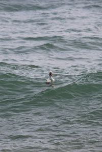 Man surfing in sea