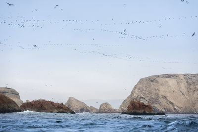 Flock of birds on rock formation against sky