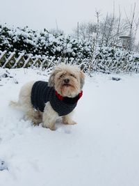 View of snow against sky