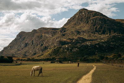 Trail and fences leading into a mountain with a blue cloudy sky.