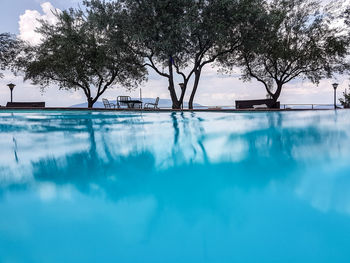 Reflection of trees in calm blue sea