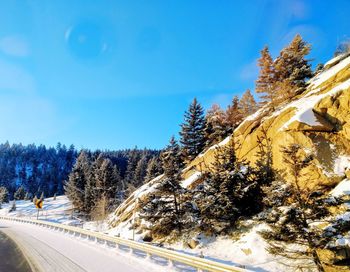 Snow covered pine trees by road against sky