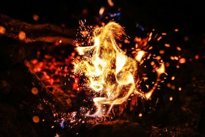 Close-up of fire crackers at night