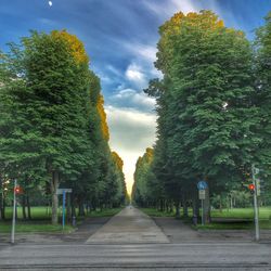 Road amidst trees against sky