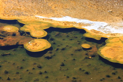 High angle view of water