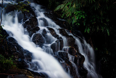 Scenic view of waterfall in forest