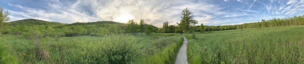 Panoramic view of land against sky