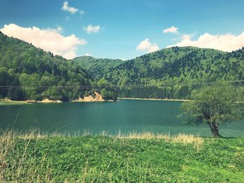Scenic view of lake and trees against sky