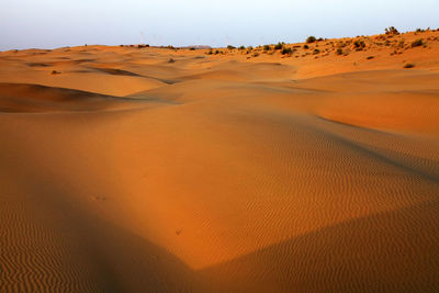Scenic view of sand dunes