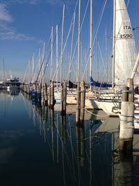 Sailboats moored in harbor