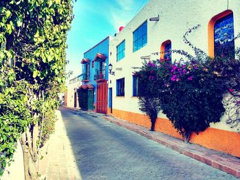 Empty street by houses