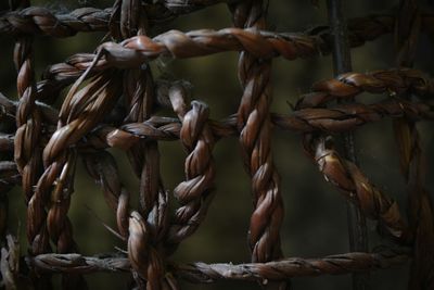 Close-up of wicker basket